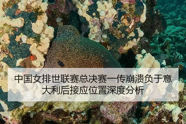 zhong-guo-nv-pai-shi-lian-sai-zong-jue-sai-yi-chuan-beng-kui-fu-yu-yi-da-li-hou-jie-ying-wei-zhi-shen-du-fen-xi-2-405.jpg