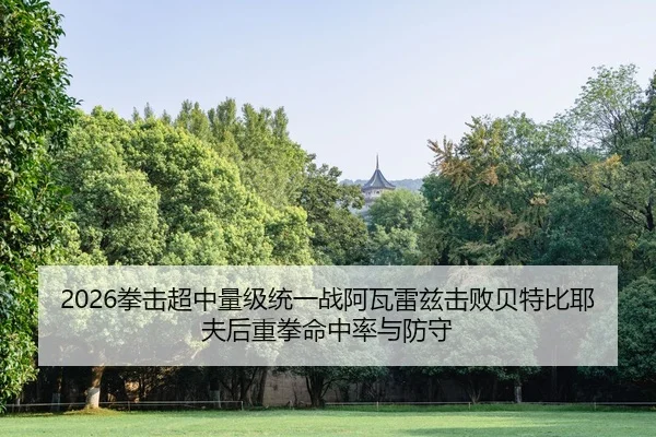 quan-ji-chao-zhong-liang-ji-tong-yi-zhan-a-wa-lei-zi-ji-bai-bei-te-bi-ye-fu-hou-zhong-quan-ming-zhong-lv-yu-fang-shou-3-369.jpg